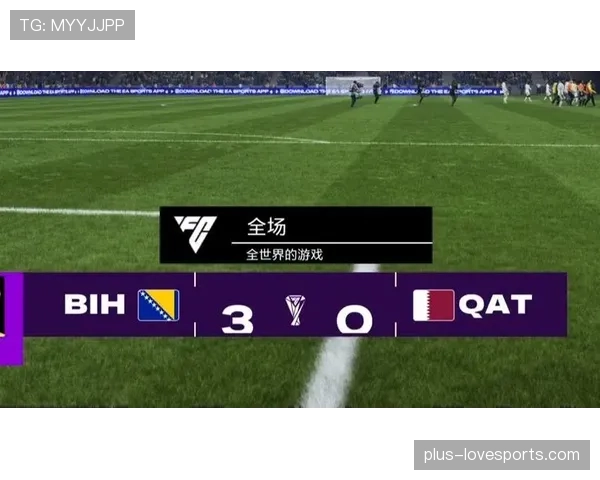 波黑3-1卡塔尔：世界杯B组末轮战报